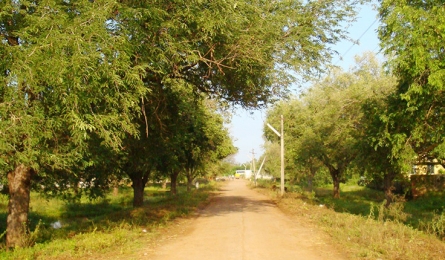 North Kordofan State